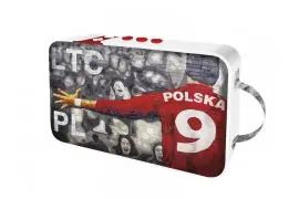 Głośnik mobilny BLUETOOTH LTC PL2018 USB/SD/AUX 10W 23x13.5x5.5cm